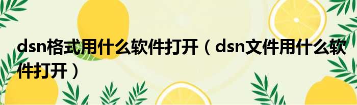 dsn格式用什么软件打开 dsn文件用什么软件打开