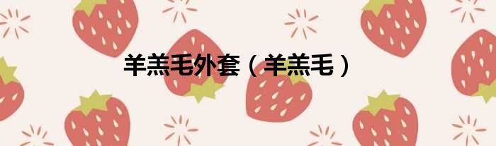 羊羔毛外套 羊羔毛