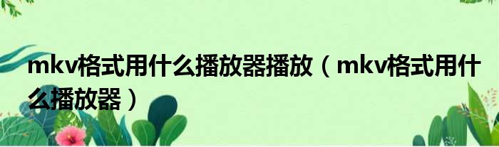 mkv格式用什么播放器播放 mkv格式用什么播放器