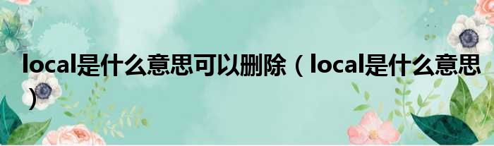 local是什么意思可以删除 local是什么意思
