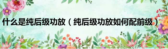 什么是纯后级功放 纯后级功放如何配前级