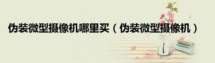 伪装微型摄像机哪里买 伪装微型摄像机