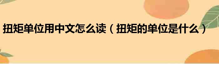 扭矩单位用中文怎么读 扭矩的单位是什么