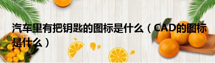 汽车里有把钥匙的图标是什么 CAD的图标是什么