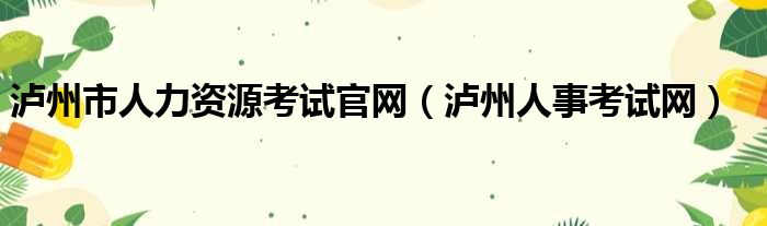 泸州市人力资源考试官网 泸州人事考试网
