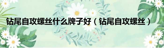 钻尾自攻螺丝什么牌子好 钻尾自攻螺丝