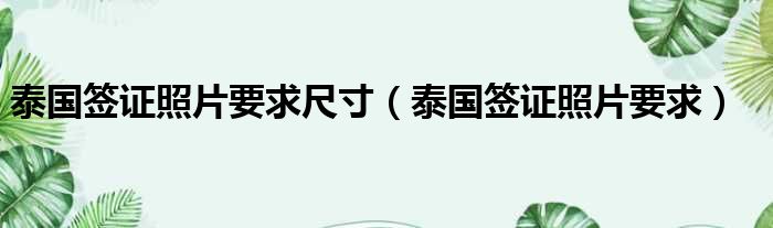 泰国签证照片要求尺寸 泰国签证照片要求