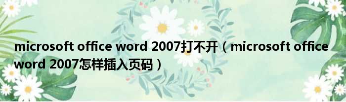 microsoft office word 2007打不开 microsoft office word 2007怎样插入页码