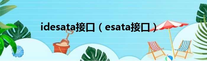 idesata接口 esata接口