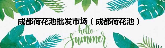 成都荷花池批发市场 成都荷花池