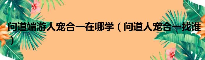 问道端游人宠合一在哪学 问道人宠合一找谁