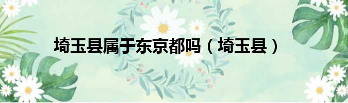 埼玉县属于东京都吗 埼玉县