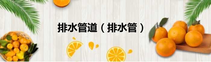 排水管道 排水管