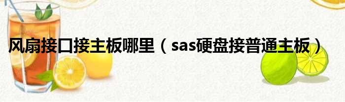 风扇接口接主板哪里 sas硬盘接普通主板