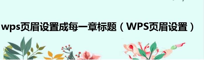 wps页眉设置成每一章标题 WPS页眉设置