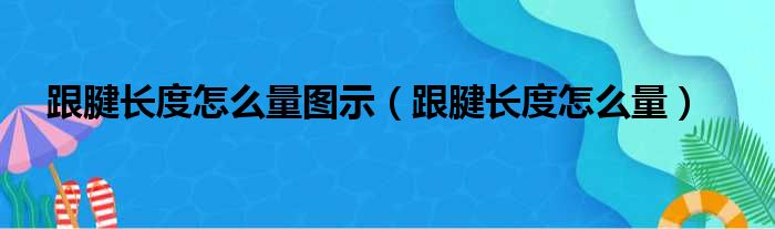 跟腱长度怎么量图示 跟腱长度怎么量