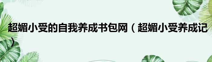 超媚小受的自我养成书包网 超媚小受养成记