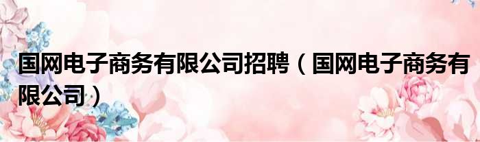 国网电子商务有限公司招聘 国网电子商务有限公司