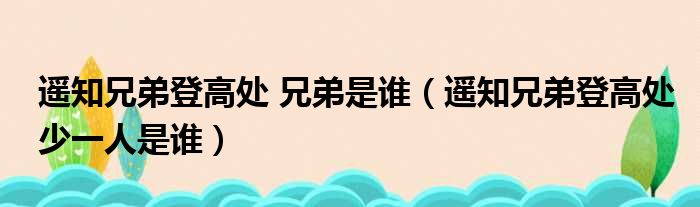 遥知兄弟登高处 兄弟是谁 遥知兄弟登高处少一人是谁