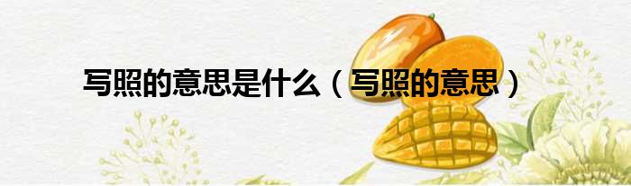 写照的意思是什么 写照的意思