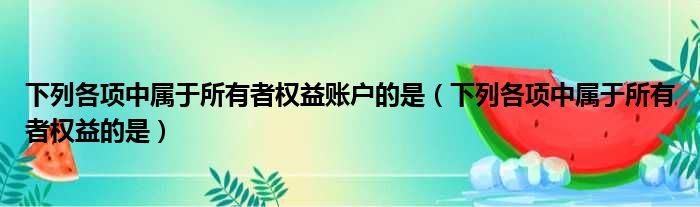 下列各项中属于所有者权益账户的是 下列各项中属于所有者权益的是