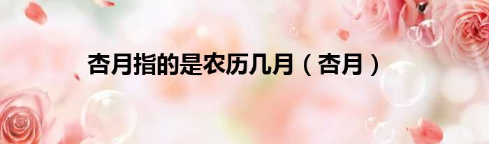 杏月指的是农历几月 杏月