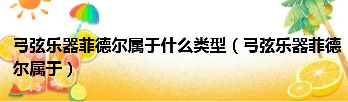 弓弦乐器菲德尔属于什么类型 弓弦乐器菲德尔属于