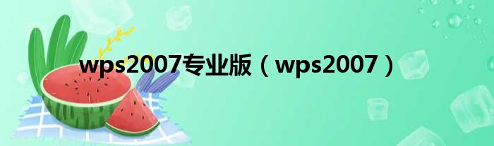 wps2007专业版 wps2007