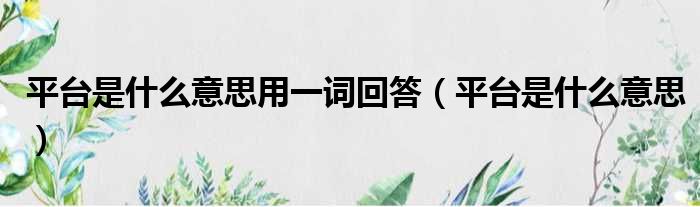 平台是什么意思用一词回答 平台是什么意思