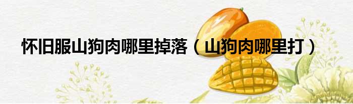 怀旧服山狗肉哪里掉落 山狗肉哪里打