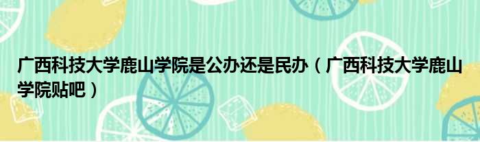 广西科技大学鹿山学院是公办还是民办 广西科技大学鹿山学院贴吧