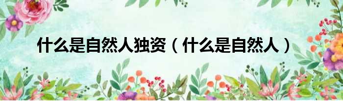 什么是自然人独资 什么是自然人