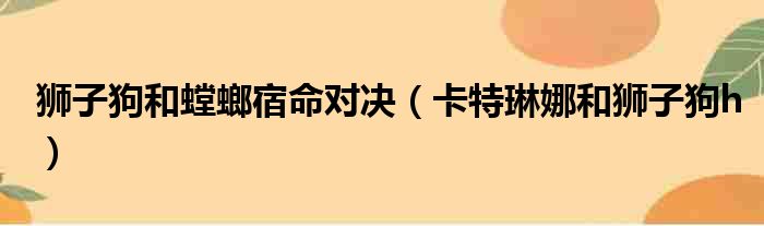 狮子狗和螳螂宿命对决 卡特琳娜和狮子狗h
