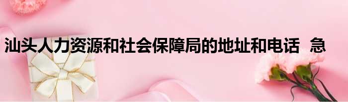 汕头人力资源和社会保障局的地址和电话 急