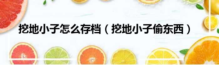 挖地小子怎么存档 挖地小子偷东西