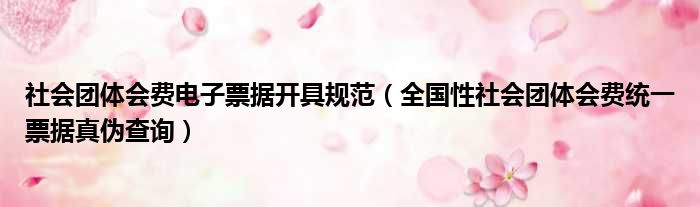 社会团体会费电子票据开具规范 全国性社会团体会费统一票据真伪查询