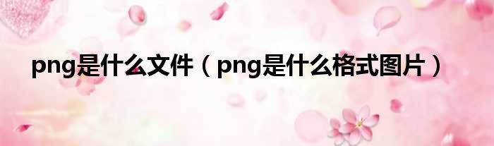 png是什么文件 png是什么格式图片