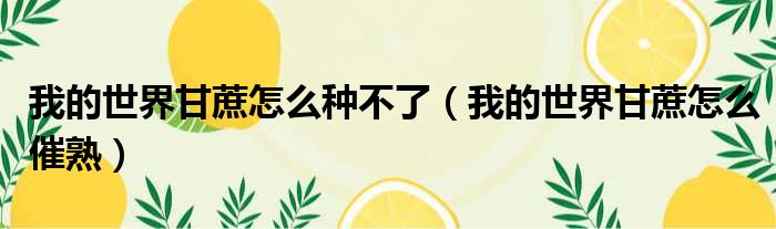 我的世界甘蔗怎么种不了 我的世界甘蔗怎么催熟