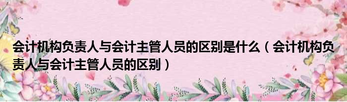 会计机构负责人与会计主管人员的区别是什么 会计机构负责人与会计主管人员的区别