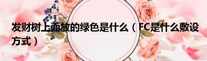 发财树上面放的绿色是什么 FC是什么敷设方式