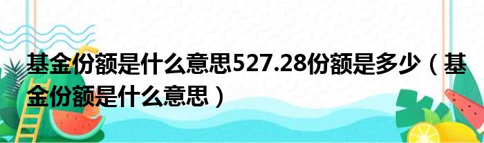 基金份额是什么意思527.28份额是多少 基金份额是什么意思
