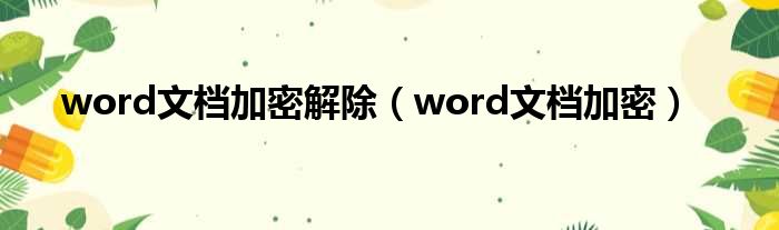 word文档加密解除 word文档加密