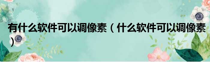 有什么软件可以调像素 什么软件可以调像素