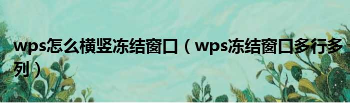 wps怎么横竖冻结窗口 wps冻结窗口多行多列