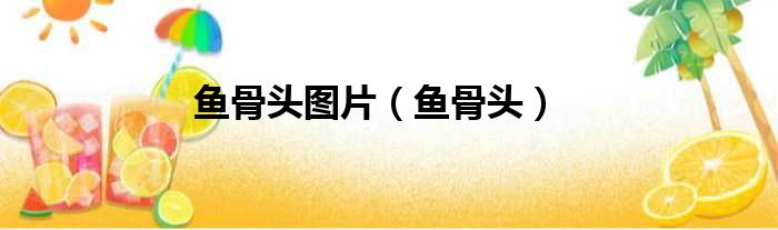 鱼骨头图片 鱼骨头