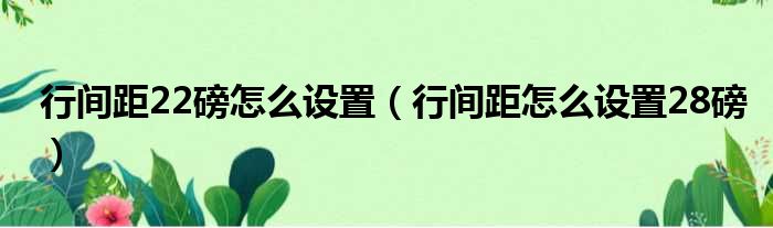 行间距22磅怎么设置 行间距怎么设置28磅