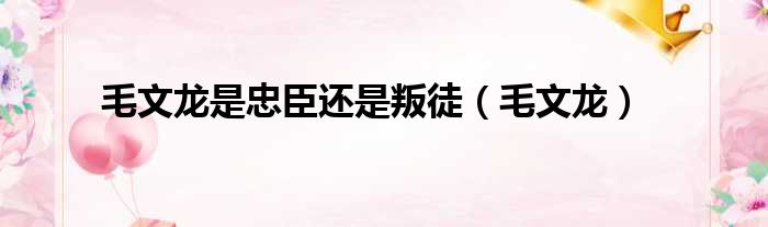 毛文龙是忠臣还是叛徒 毛文龙