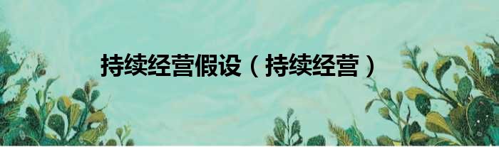 持续经营假设 持续经营
