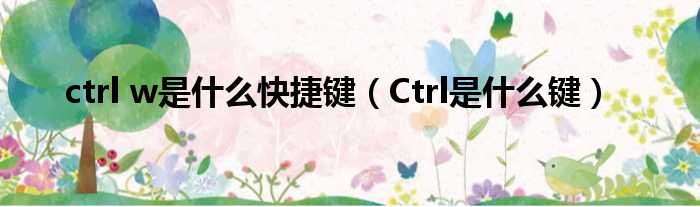 ctrl w是什么快捷键 Ctrl是什么键