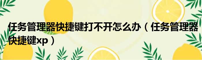 任务管理器快捷键打不开怎么办 任务管理器快捷键xp